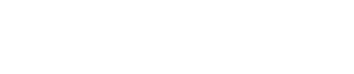 国会での重点活動